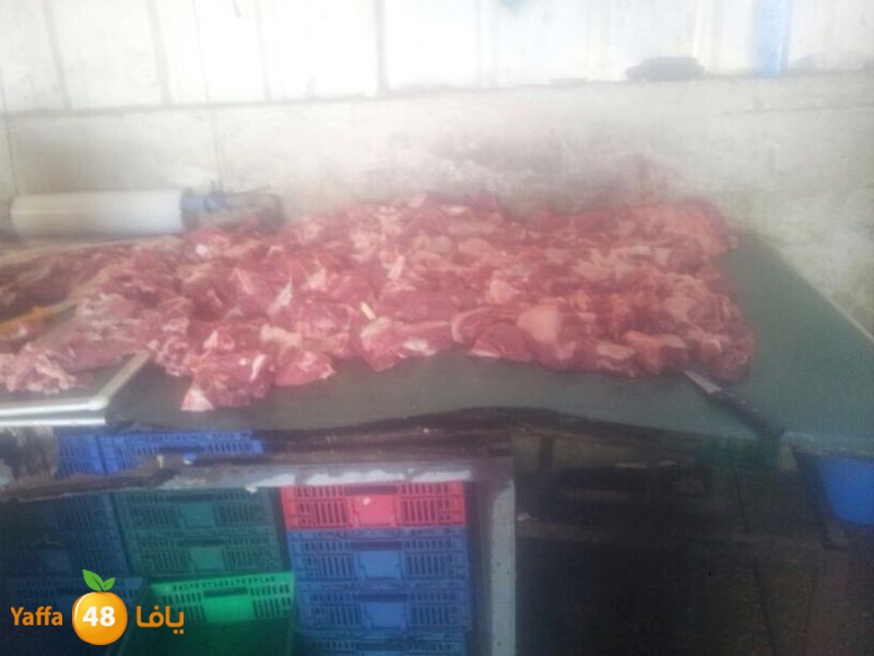 noor jam3iya j (3).JPG